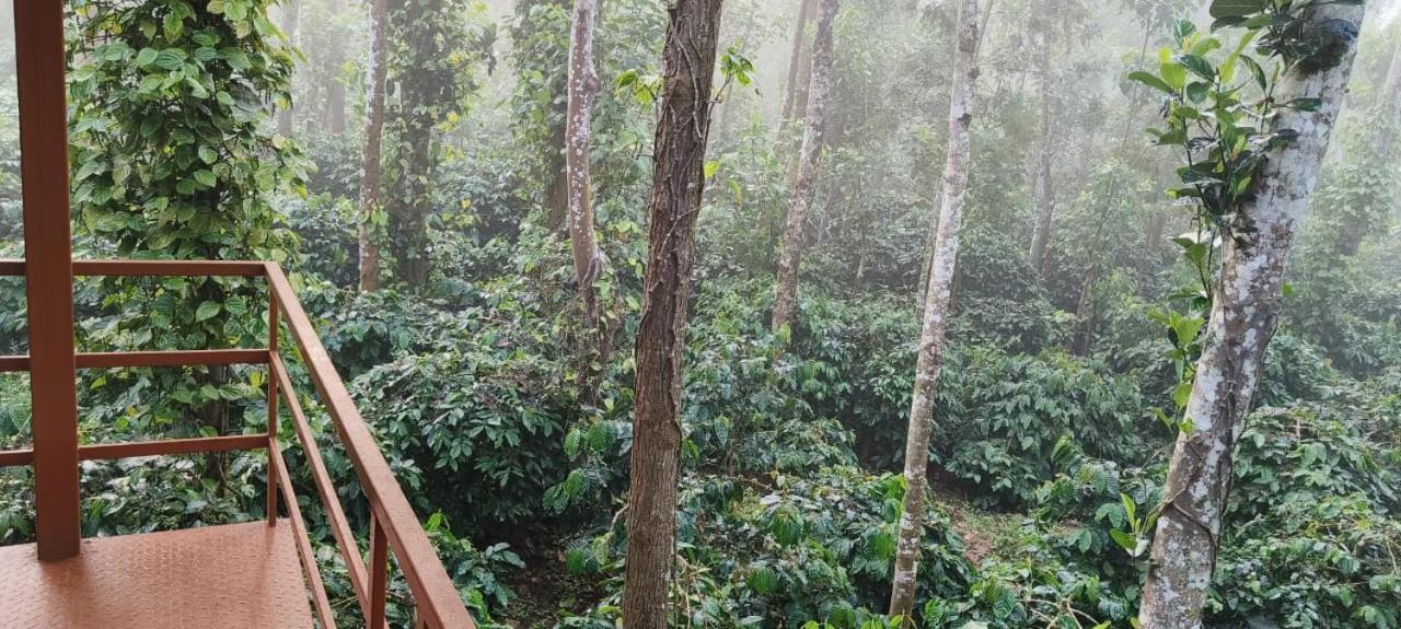 Raagabynature Homestay *