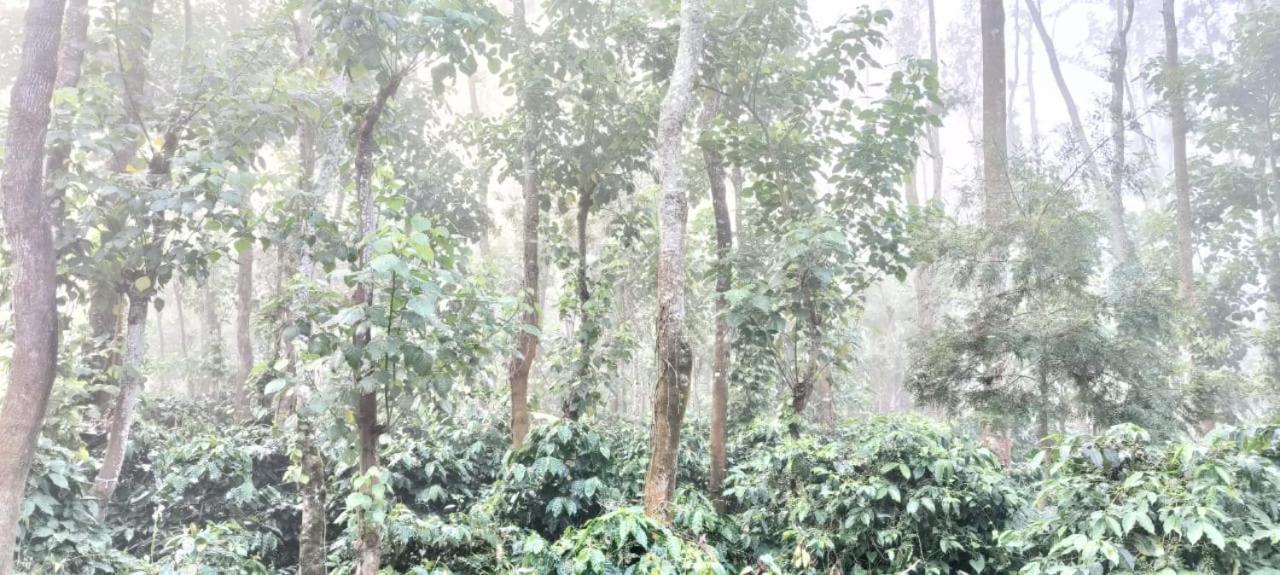 Raagabynature Homestay