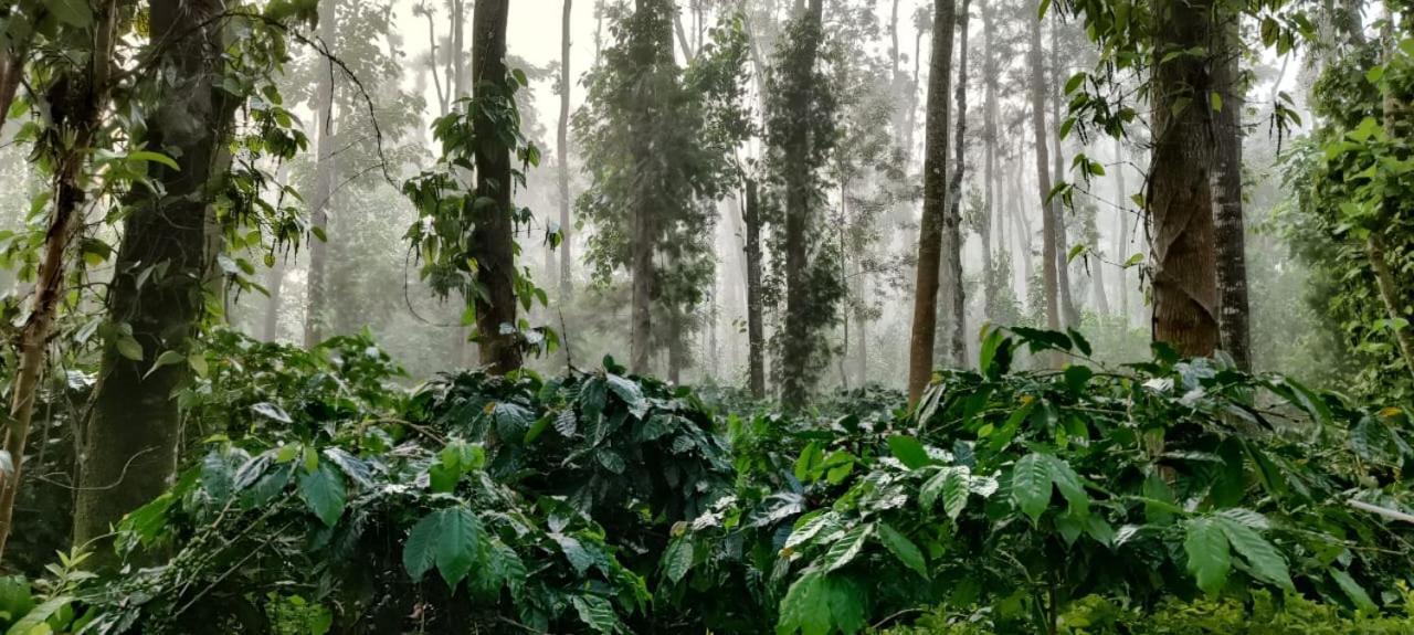 Homestay Raagabynature *