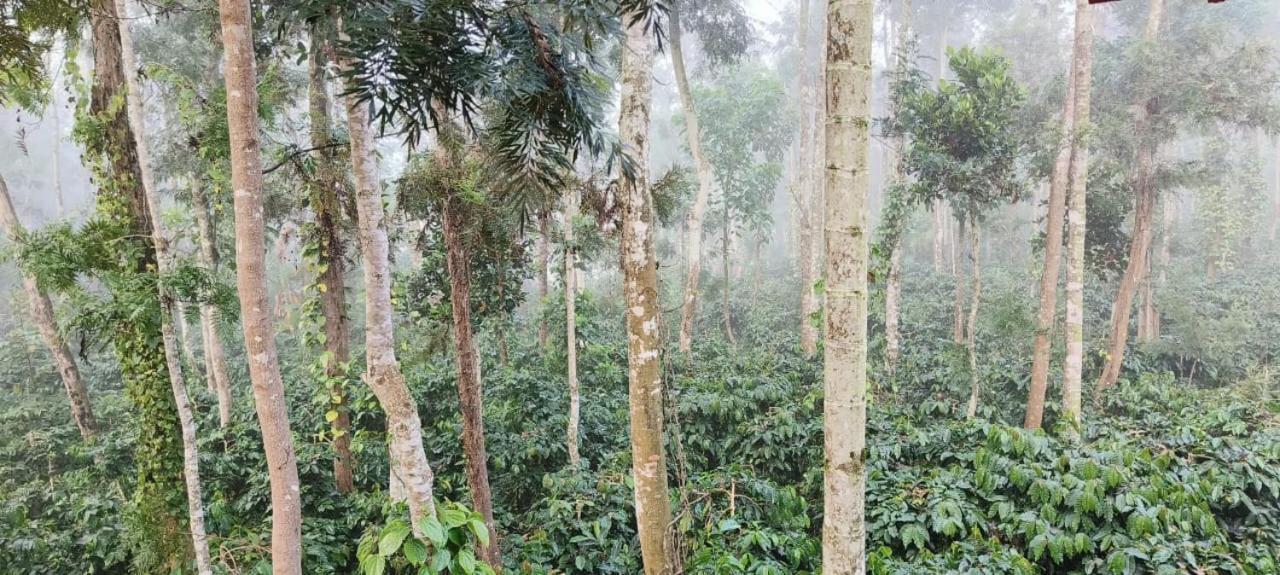 Raagabynature Homestay Gendehalli