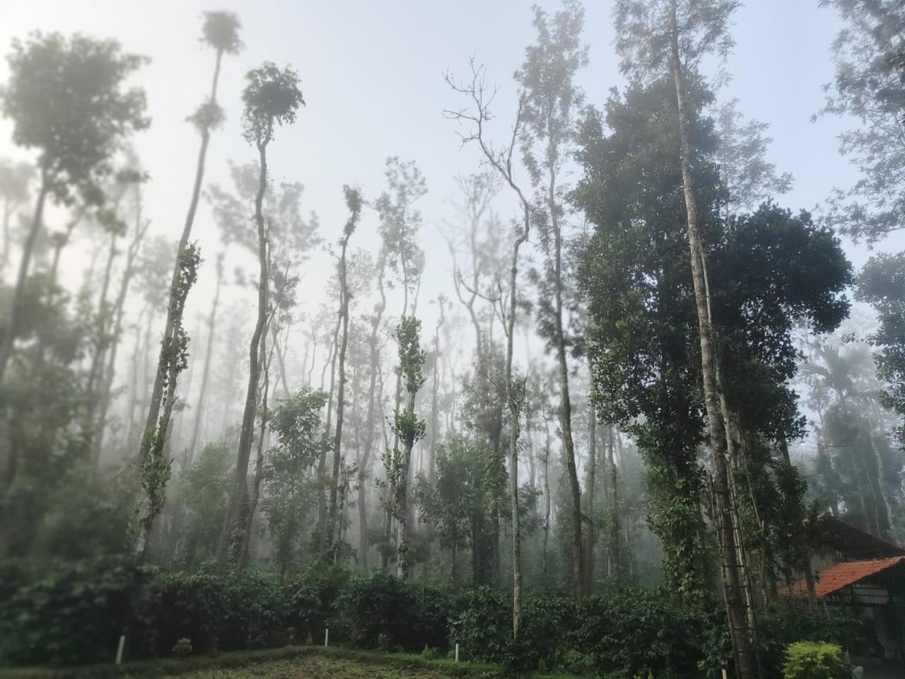 Raagabynature Gendehalli